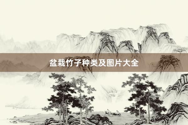 盆栽竹子种类及图片大全