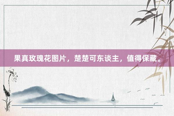 果真玫瑰花图片,楚楚可东谈主,值得保藏。
